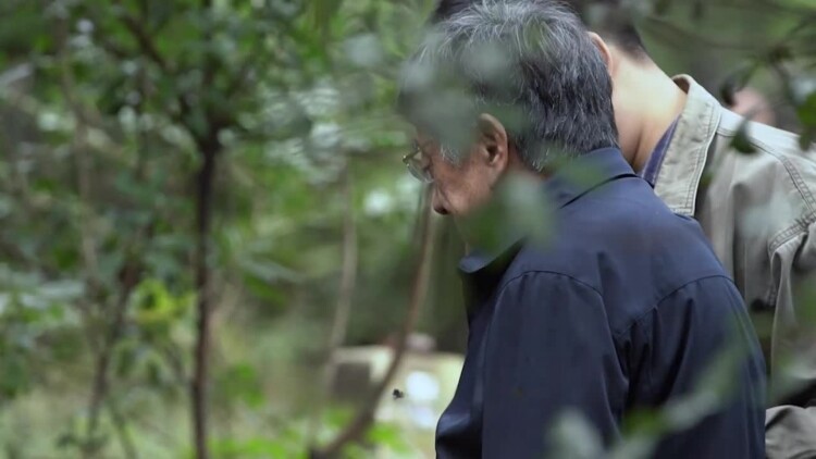 MovetoHeaven我是遗物整理师