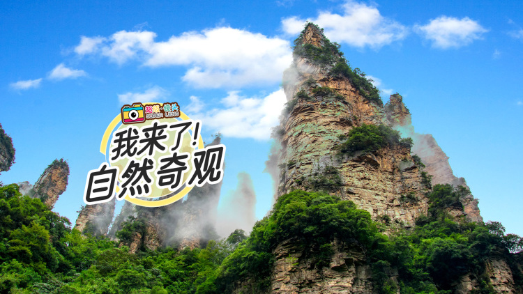 千金大小姐我不伺候了