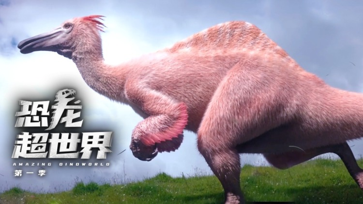 都说了不想做高手