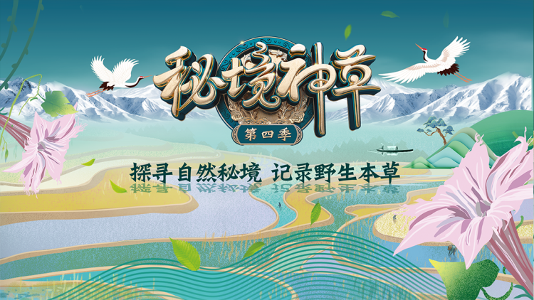 娇咬玫瑰：误会与挑战考验爱情