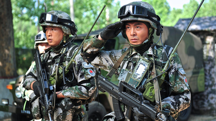 种瓜得瓜种豆得豆——收获背后的智慧与成长