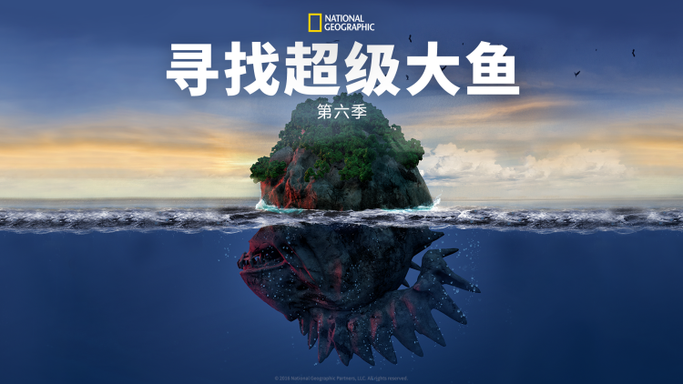 心悸：重生与解脱