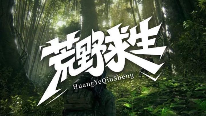关于帕姆的那些事