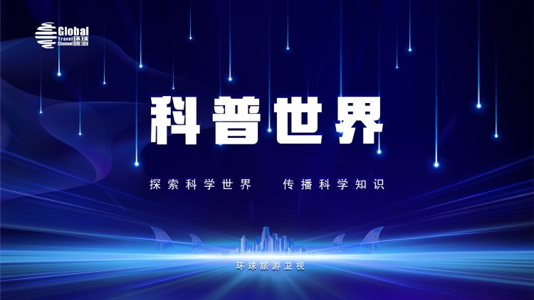 离婚后前夫全家跪求我原谅