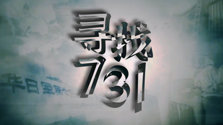 湛情琦梦缘