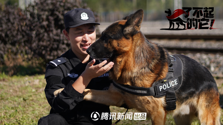 病毒或恶意软件：安全威胁引起的不稳定