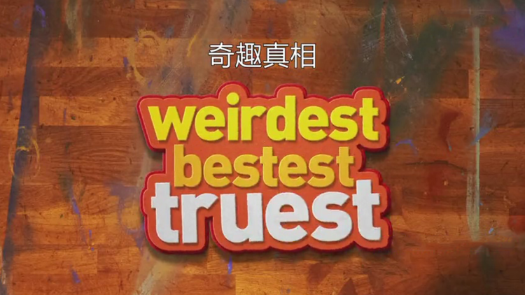 午夜故事社